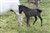 Bild 1719.jpg