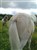 DSC01163.JPG