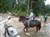 DSC04047.JPG